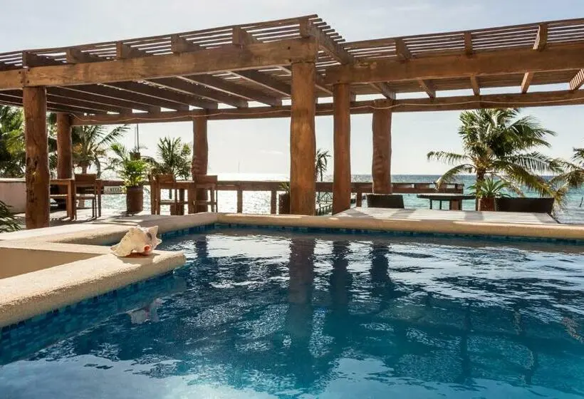 Sviitti Merinäkymä, Aquastar Unique Hotel & Apartments Mahahual