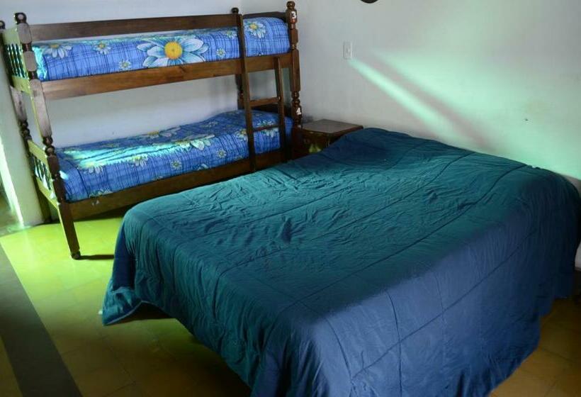 공동 객실, Hostel El Español