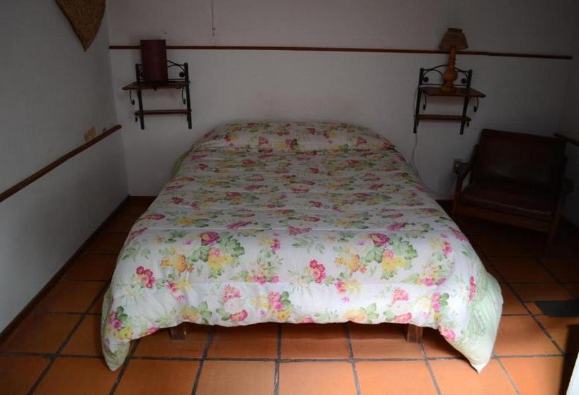 经济房, Hostel El Español