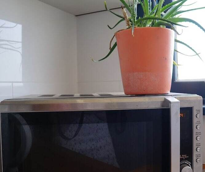 غرفة قياسية ثلاثية حمام مشترك, Gunnedah