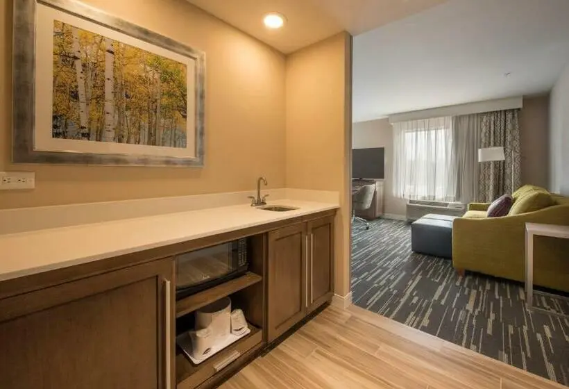 Deluxe Suite King Bed, Hampton Inn & Suites Seattle/redmond