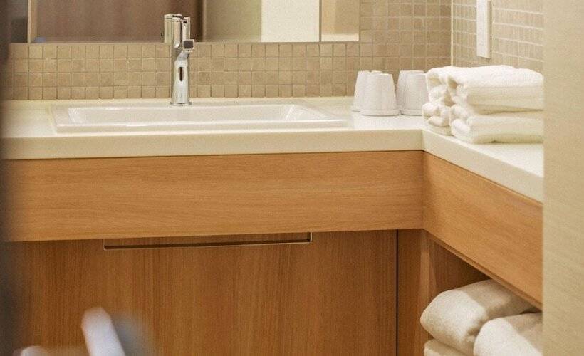 غرفة ديلوكس, Jal City Haneda Tokyo West Wing