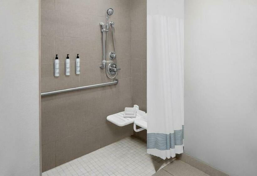 带大床的标准工作室, Towneplace Suites By Marriott Big Spring