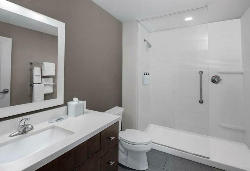 带大床的标准工作室, Towneplace Suites By Marriott Big Spring