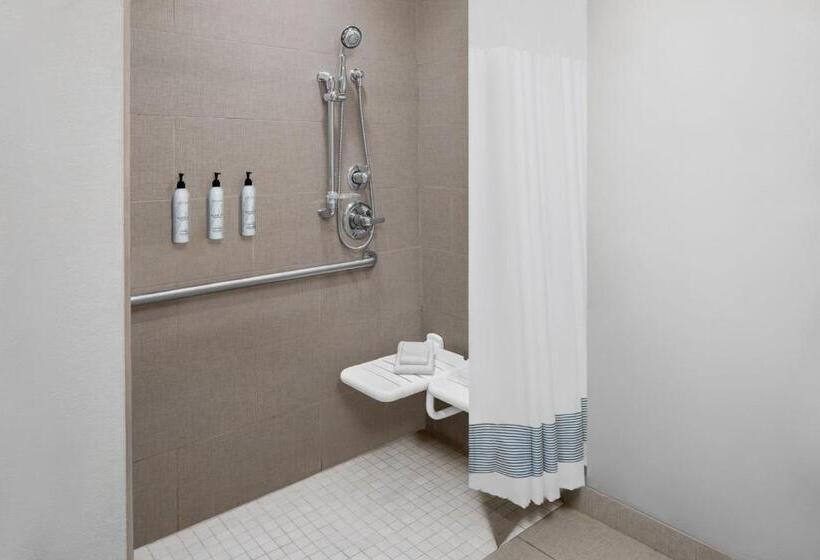 带大床的套房, Towneplace Suites By Marriott Big Spring