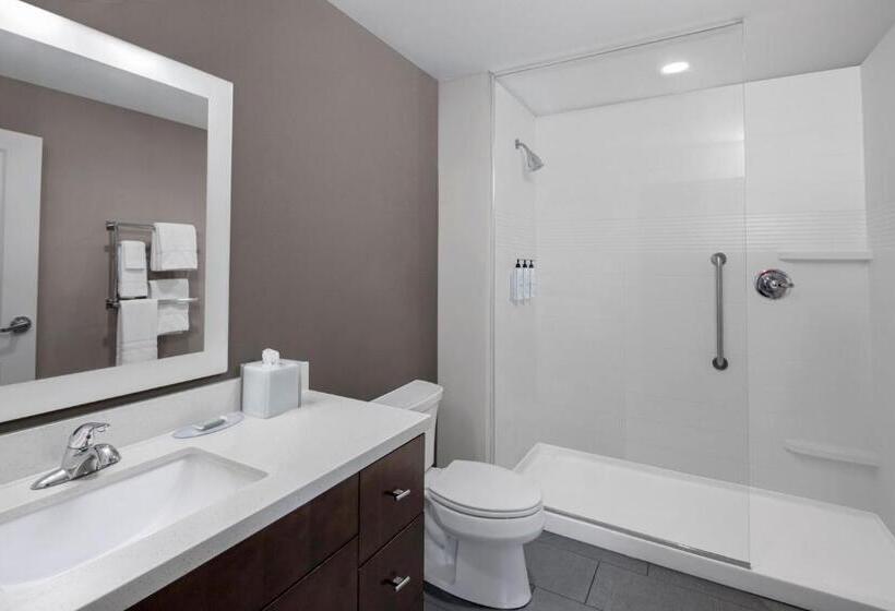 带大床的套房, Towneplace Suites By Marriott Big Spring