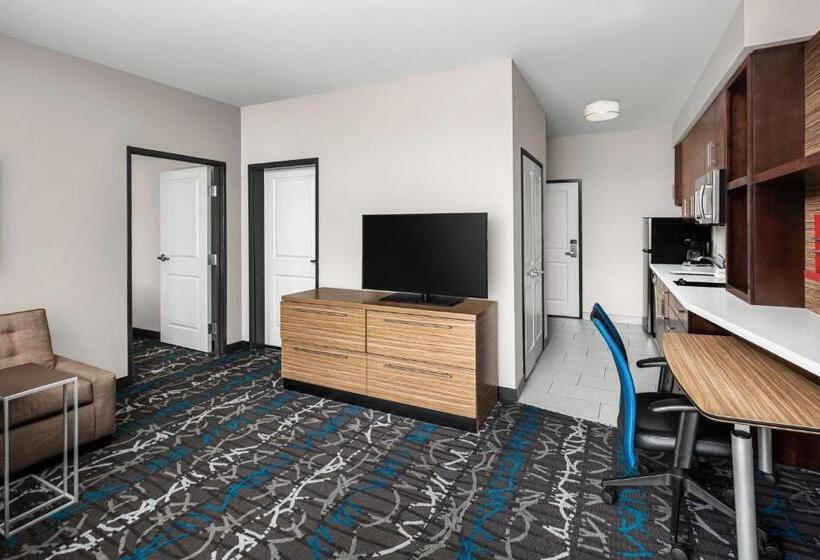 带大床的套房, Towneplace Suites By Marriott Big Spring