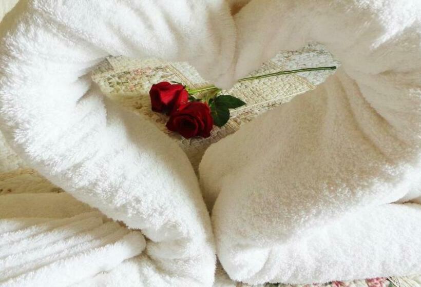 سوییت لوکس, Petit Rivera Hotel