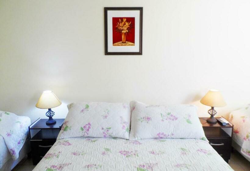 四人标准间, Petit Rivera Hotel