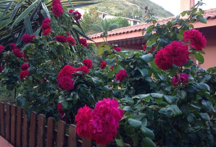 수피리어 테라스 룸, B&b Villa Di Giorgi