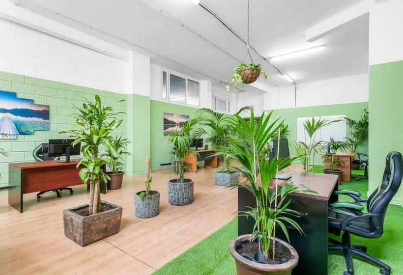 דירת חדר דלוקס, Club Tarahal