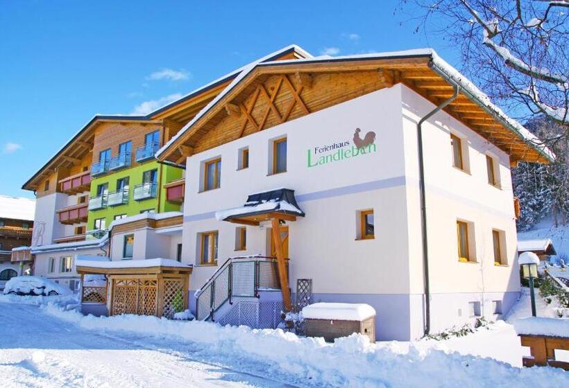 １ベッドルームハウス, Barbarahof Saalbach