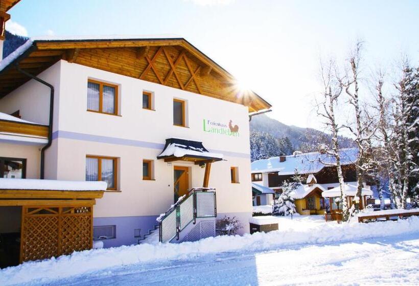 １ベッドルームハウス, Barbarahof Saalbach