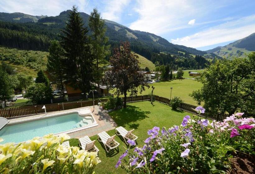1 Bedroom Apartment Mountain View, Barbarahof Saalbach