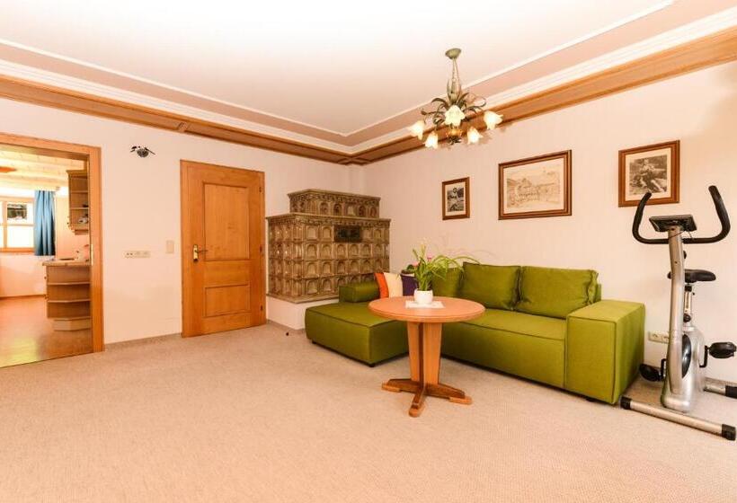 1 Bedroom Apartment Mountain View, Barbarahof Saalbach