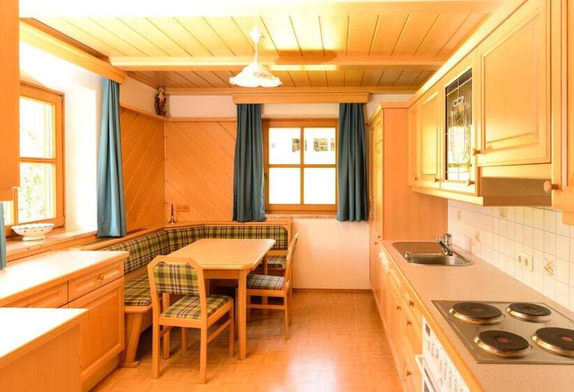 1 Bedroom Apartment Mountain View, Barbarahof Saalbach