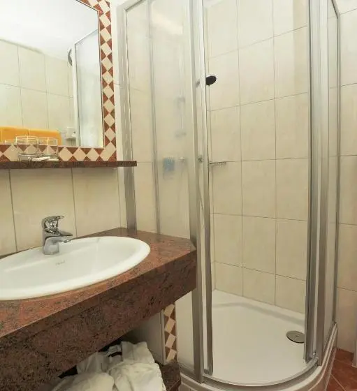 Standard Single Room Single Bed, Barbarahof Saalbach