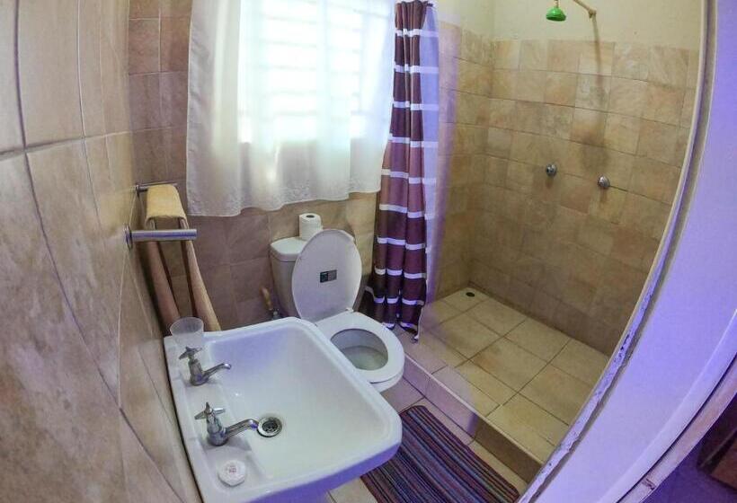 اتاق اکونومی, Golden Days Lodge