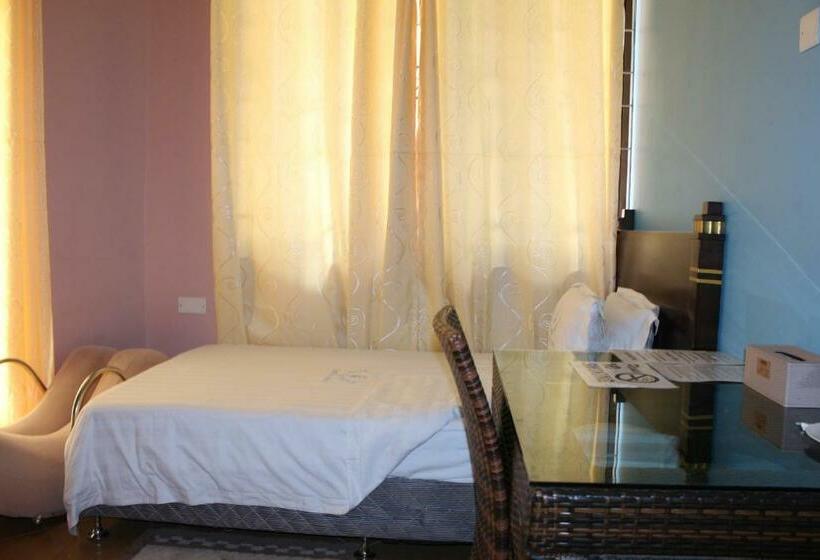 Habitació Superior Individual, Stay Inn