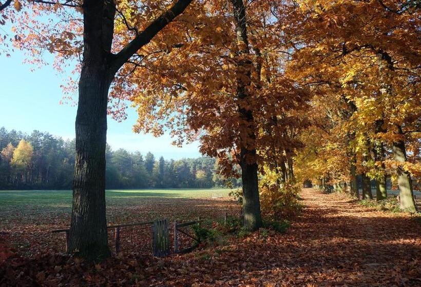 غرفة قياسية, 15 Inn