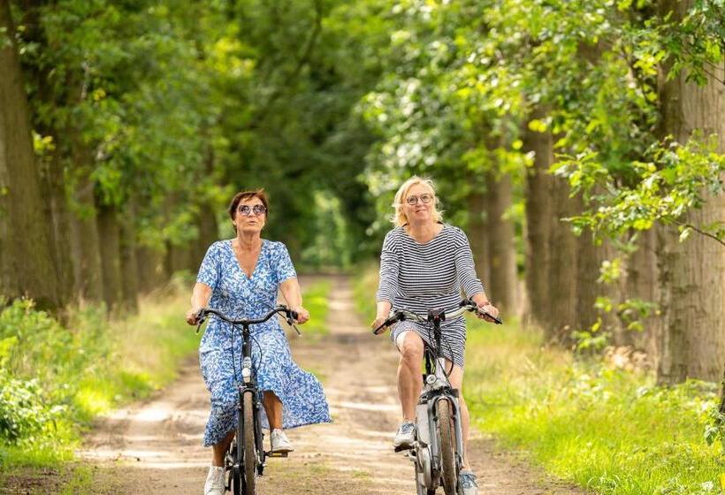 غرفة قياسية, 15 Inn