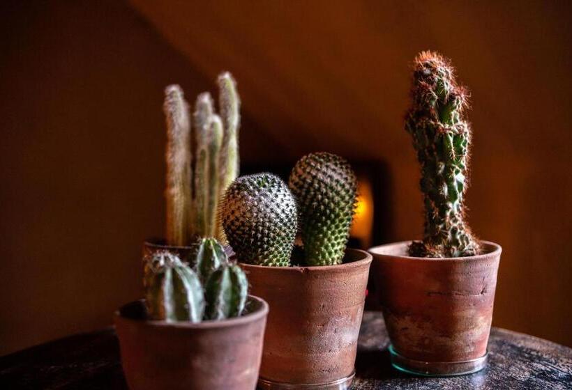 غرفة قياسية, 15 Inn