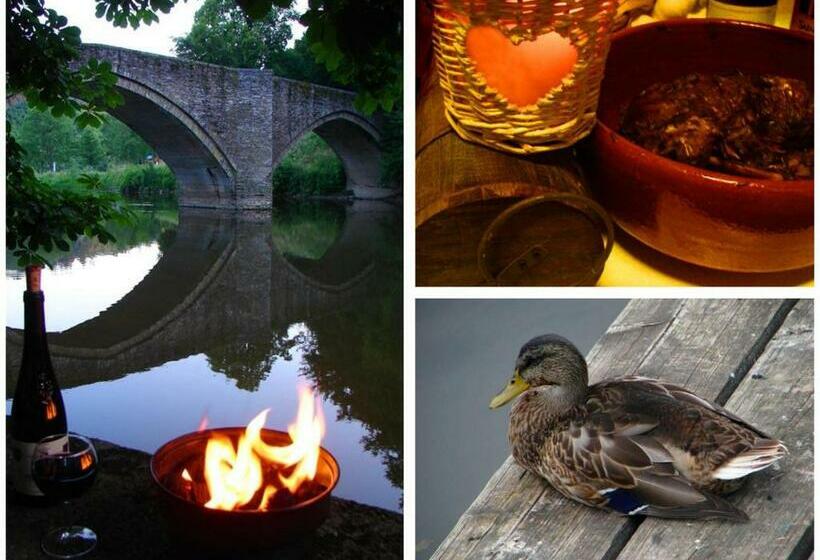 이코노미 룸, Golden Lion