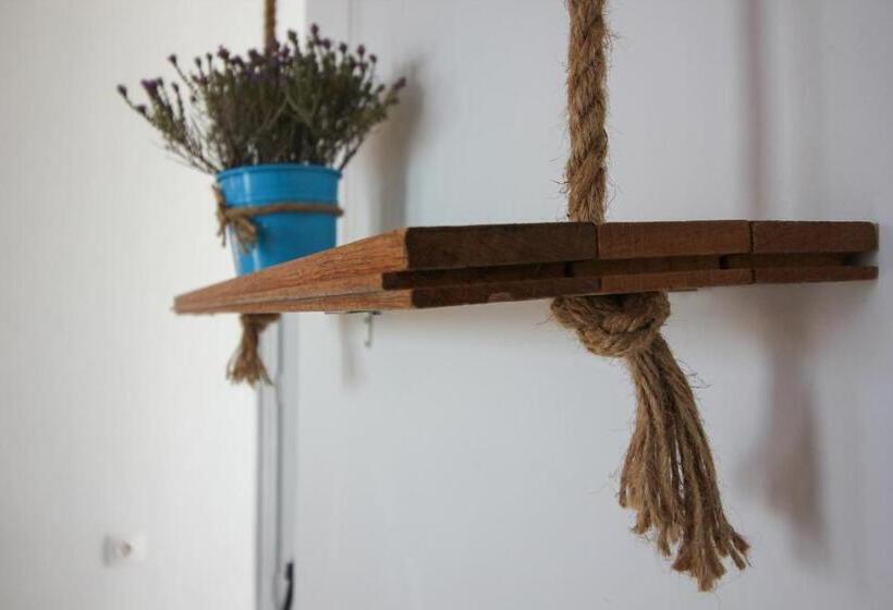 스탠다드 스튜디오 바다 전망, Camares