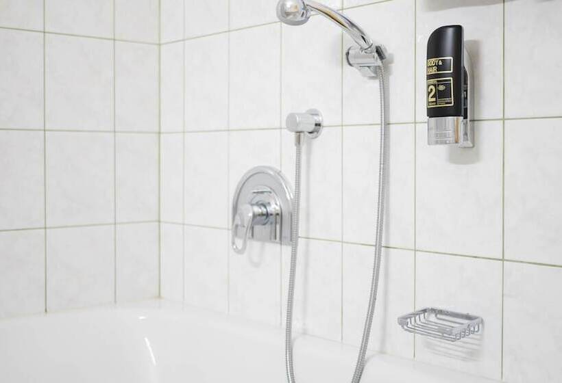 חדר סטודיו סטנדרד, Entenwirt Seeham