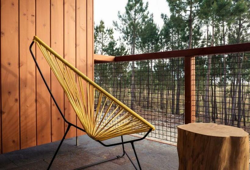 سوییت جونیور, Feelviana Sport