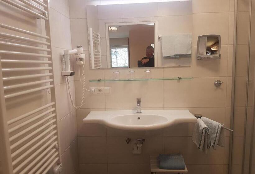 标准单人间, Goethehof