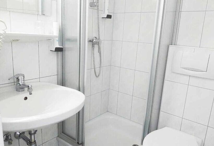 标准单人间, Goethehof