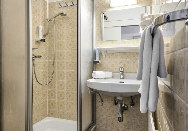 标准单人间, Goethehof