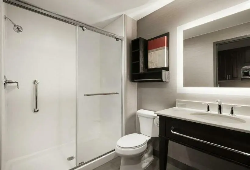キングサイズベッドのスイートルーム, Homewood Suites By Hilton Milwaukee Downtown