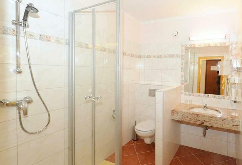 스탠다드 룸, Ski In Ski Out Hotel Unterellmau