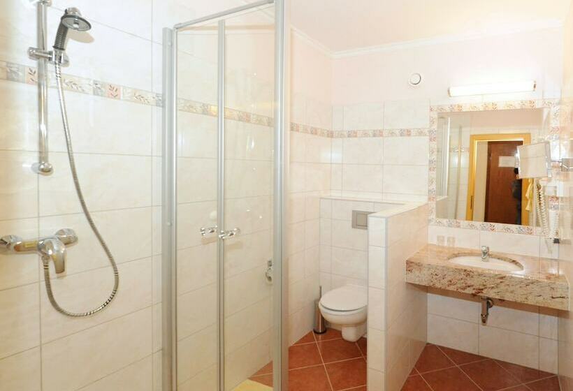 스탠다드 룸, Ski In Ski Out Hotel Unterellmau