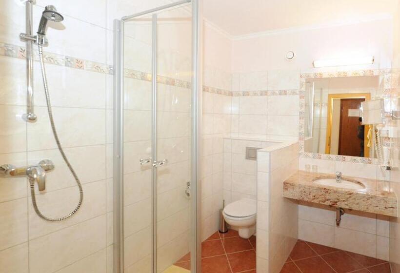 컴포트 싱글 룸, Ski In Ski Out Hotel Unterellmau