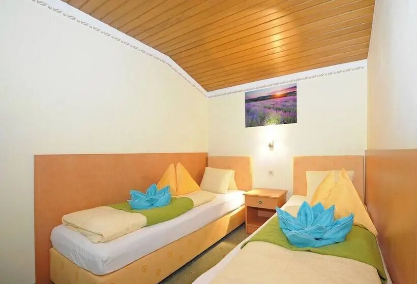 اتاق استاندارد, Ski In Ski Out Hotel Unterellmau