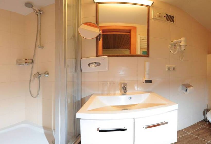 컴포트 싱글 룸, Ski In Ski Out Hotel Unterellmau