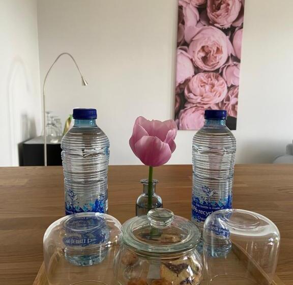 キングサイズベッドのデラックススイート, B&b Aline Florentine