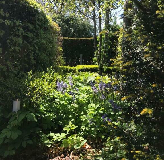 Студио Стандарт Вид на Сад, B&b De Tuinkamer