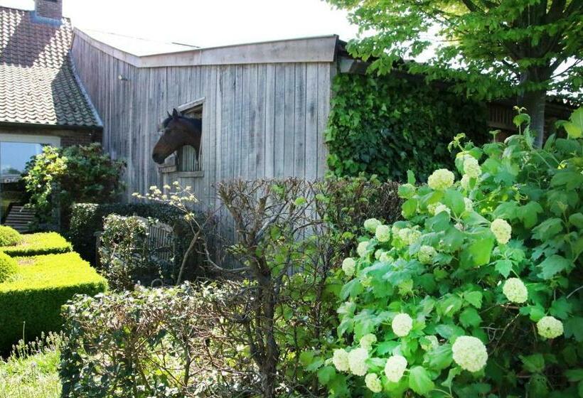 デラックスジュニアスイート, T Welthof