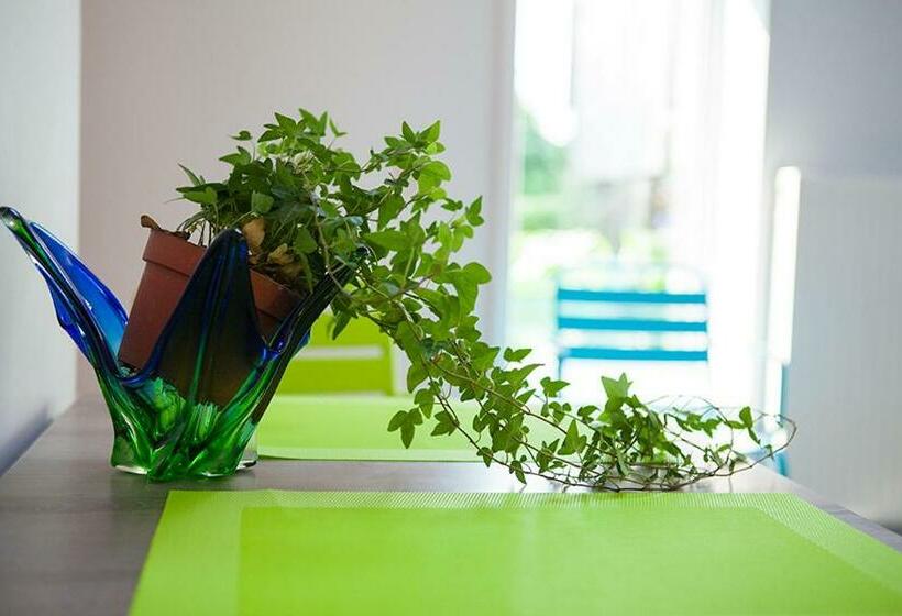 Студия Стандарт, B&b T'keygoed