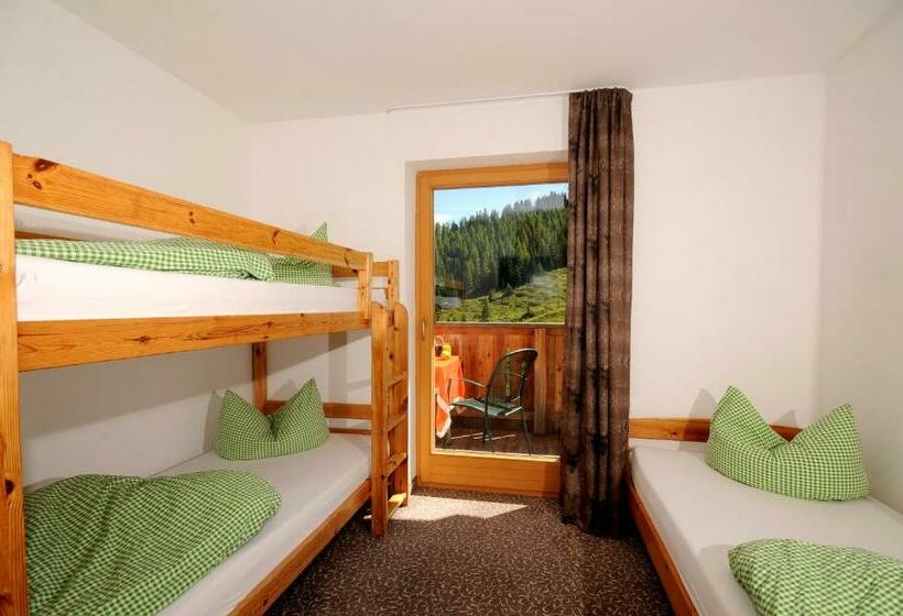 家庭山景房, Berghotel Gerlosstein