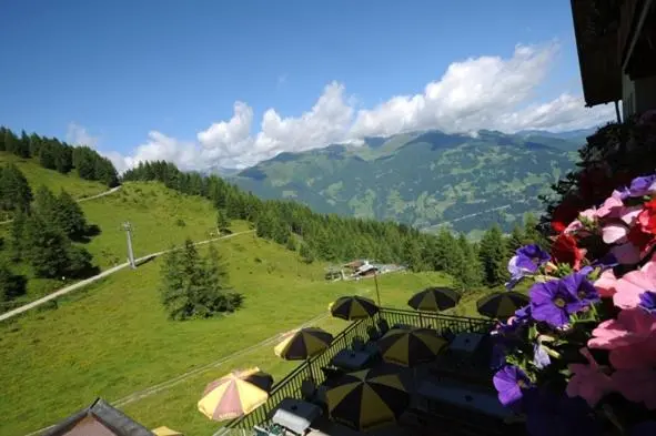 ベーシックルーム, Berghotel Gerlosstein