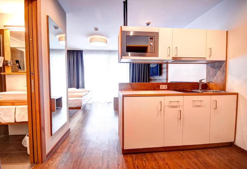 带观景的标准工作室, Mountain Resort M&m