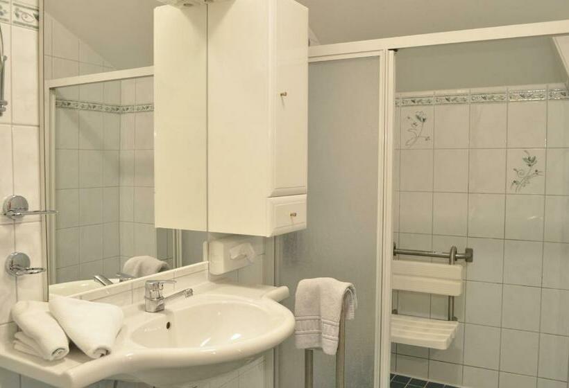 Номер Стандарт Адаптированный для Инвалидов, Seehotel Herlinde