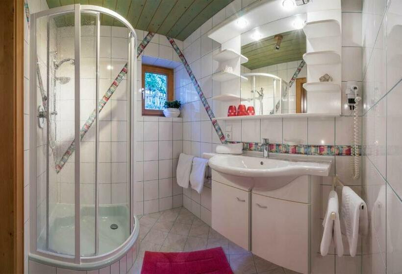 Апартаменты 1 Спальня, Aparthotel Gallahaus