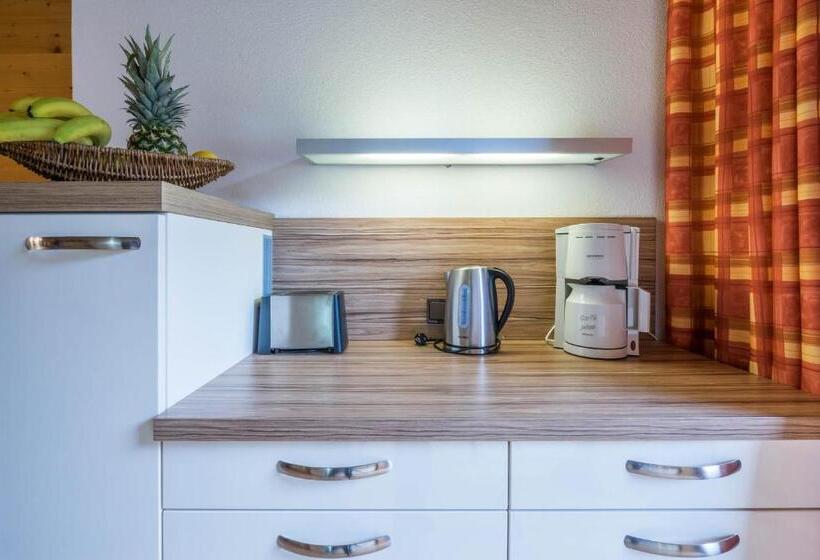 Апартаменты 3 Спальни, Aparthotel Gallahaus