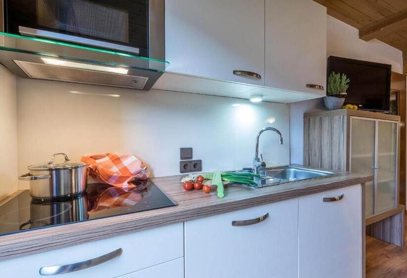 Апартаменты 3 Спальни, Aparthotel Gallahaus